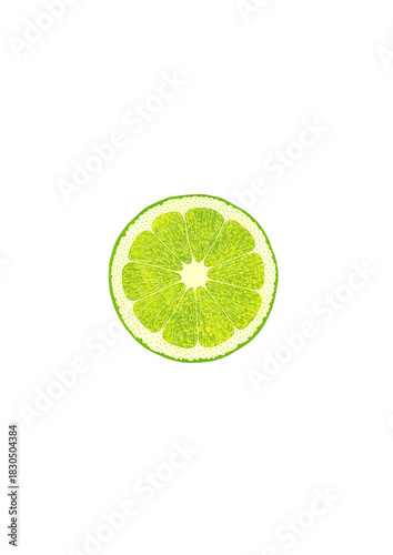 Fresh gouache lime illustration, painted by hand. Symbol of clarity and refreshing energy.