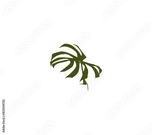 palm tree vector illustration