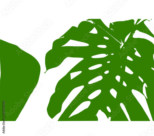 palm tree vector illustration