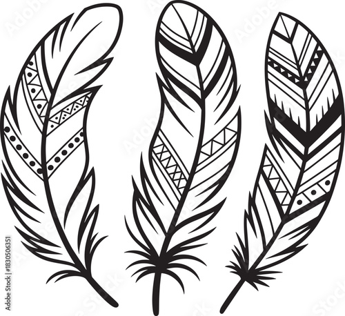 Feathers set with decorative patterns vector line art drawing illustration