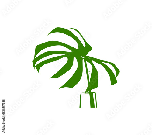 palm tree vector illustration