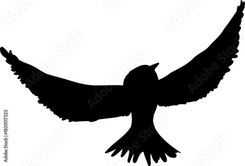 Flying flock of birds silhouette, Simple swallows in flight, crows in the sky. Group of birds border. Vector illustration