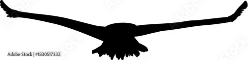 Flying flock of birds silhouette, Simple swallows in flight, crows in the sky. Group of birds border. Vector illustration