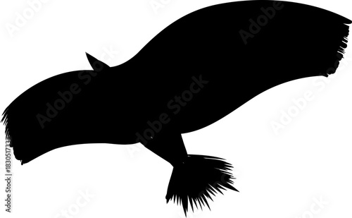 Flying flock of birds silhouette, Simple swallows in flight, crows in the sky. Group of birds border. Vector illustration