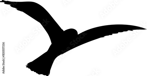 Flying flock of birds silhouette, Simple swallows in flight, crows in the sky. Group of birds border. Vector illustration