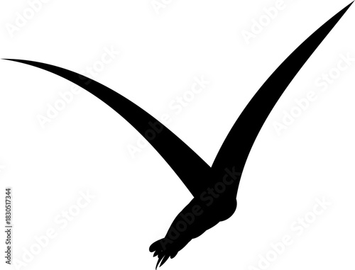 Flying flock of birds silhouette, Simple swallows in flight, crows in the sky. Group of birds border. Vector illustration