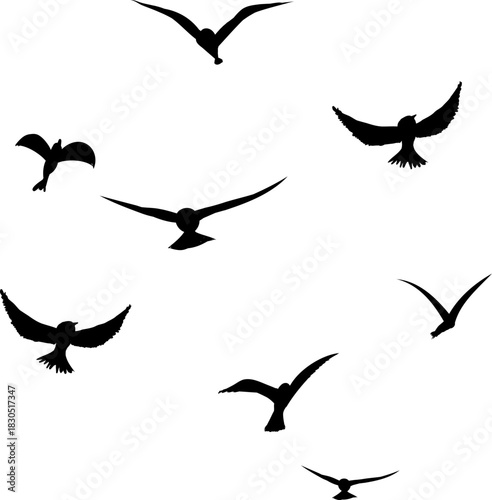 Flying flock of birds silhouette, Simple swallows in flight, crows in the sky. Group of birds border. Vector illustration