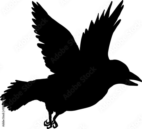 Flying flock of birds silhouette, Simple swallows in flight, crows in the sky. Group of birds border. Vector illustration