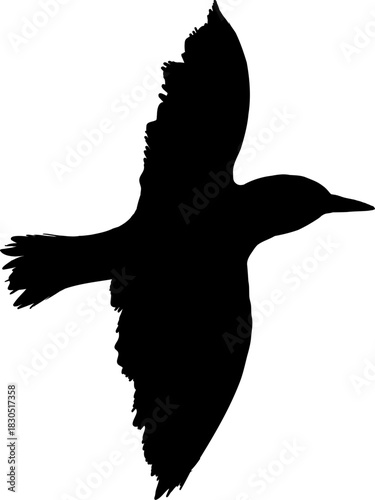 Flying flock of birds silhouette, Simple swallows in flight, crows in the sky. Group of birds border. Vector illustration