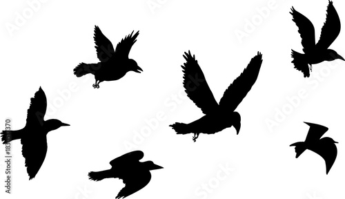 Flying flock of birds silhouette, Simple swallows in flight, crows in the sky. Group of birds border. Vector illustration