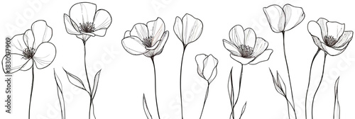 Minimalist continuous line drawing of delicate wildflowers and leaves in a seamless horizontal arrangement on white background black sketch vector illustration