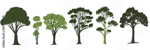 Variety of green deciduous tree silhouettes different shapes and sizes isolated on white background flat minimalist vector illustration set for natural landscape design concept