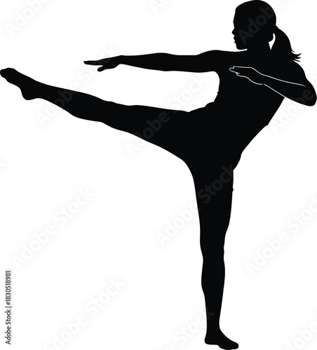 Silhouette of a woman performing a high side kick