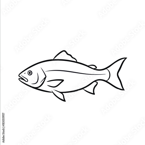 Simple Fish Outline Vector Illustration