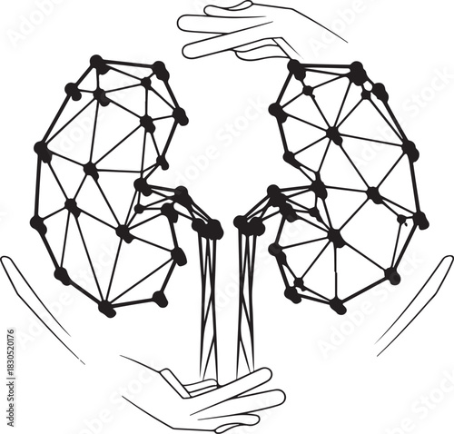 Digital kidneys protected by hands medical innovation and healthcare technology concept