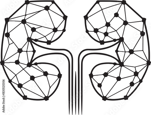 Abstract geometric kidney illustration representing healthcare and medical technology