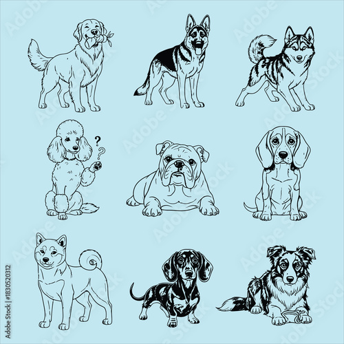 Diverse dog breeds outlined vector illustrations set