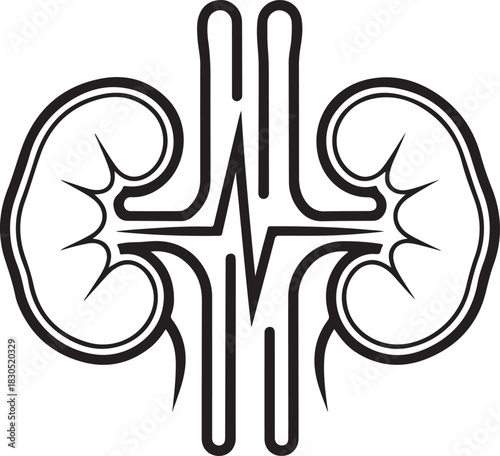 Kidney health illustration with heartbeat line for medical concepts and designs