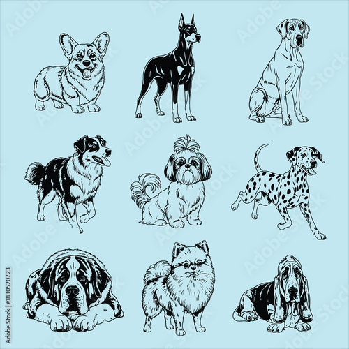 Diverse dog breeds vector illustration collection set