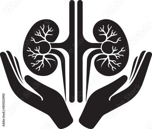 Kidney health illustration hands protecting human kidneys medical care and organ donation