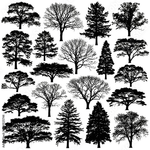Collection of various types of trees with different shapes and sizes, isolated on
