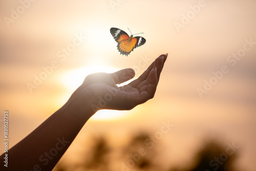 Butterfly Resting on Finger Tip Against Golden Sunset Sky. Butterfly resting finger tip hand touch freedom inspiration nature concept hope serenity golden sunset sunrise silhouette sky background