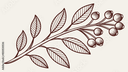 Vector illustration of natural green leaf and tree foliage patterns, a floral spring and autumn season design element set