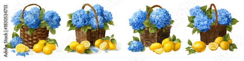 Watercolor hydrangea flowers with lemons in a wicker basket. Summer Mediterranean illustration with blue bouquets, perfect for posters. Italian summer vibe. Vector illustration