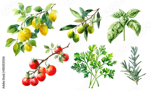 Italian coastal collection with citrus, herbs, olives, and tomatoes. Mediterranean summer motifs featuring Amalfi landscapes, seafood, pasta, vintage stamps, and mosaic tiles.