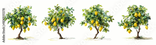 Citrus fruit watercolor set featuring lemon branches with juicy yellow fruits. Italian summer tree illustrations ideal for vintage posters, backgrounds, and botanical art designs.