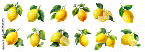 Mediterranean set of lemons, yellow citrus fruits and green leaves. Watercolor set of yellow citrus fruits. Elements of Italian perfect for summer  cards, menu designs or seamless fabric prints.