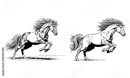 Dynamic duo of majestic horses in a powerful gallop silhouette