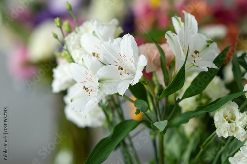 White lily flowers blooming among colorful bouquets in soft focus
