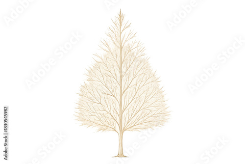 White winter tree drawing with bare branches