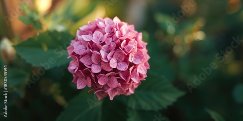 Fototapeta Naklejka Na Ścianę i Meble -  White stucco wall with a colorful tile street sign and succulent plant in a small window on a narrow Spanish street, heritage preservation, Earth Day
