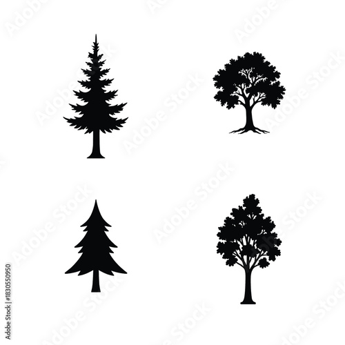 Black Silhouettes of Evergreen and Deciduous Trees nature