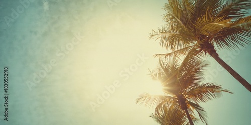 Fototapeta Naklejka Na Ścianę i Meble -  Fresh vegetables arranged on a white vintage wooden surface, suitable for food styling or recipe layout, Earth Day