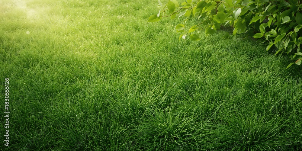 Obraz premium Clean black and orange backdrop providing text copy space for layout design, background for editorial content