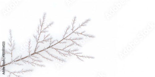 Autumn maple leaves on a shadowed background, seasonal change awareness day