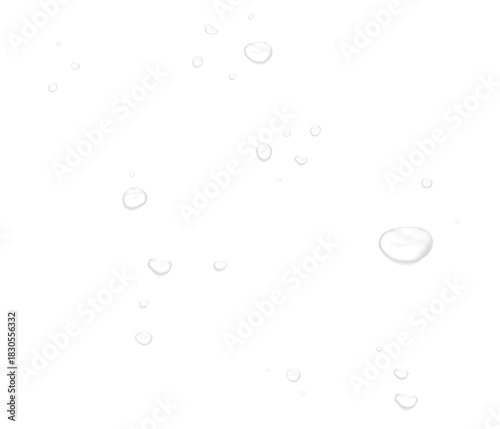 Wallpaper Mural Realistic water drops. PNG drops, condensation on the window, transparent water drop. Abstract water drops, bubbles on transparent background, digital liquid design Torontodigital.ca