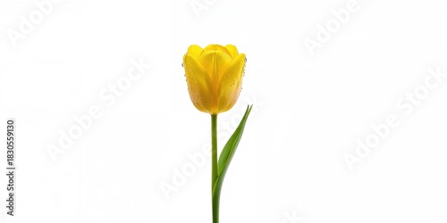 Fototapeta Naklejka Na Ścianę i Meble -  Snow-covered mountain peaks in Zakopane and Poland, suitable for winter sports backdrop