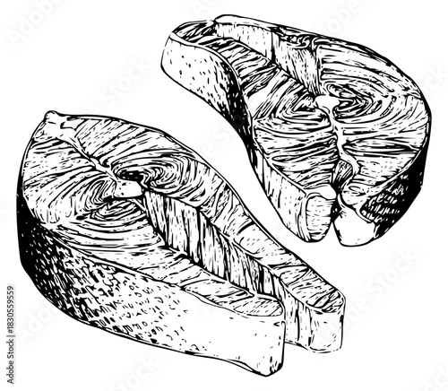 Engraved salmon steaks illustration