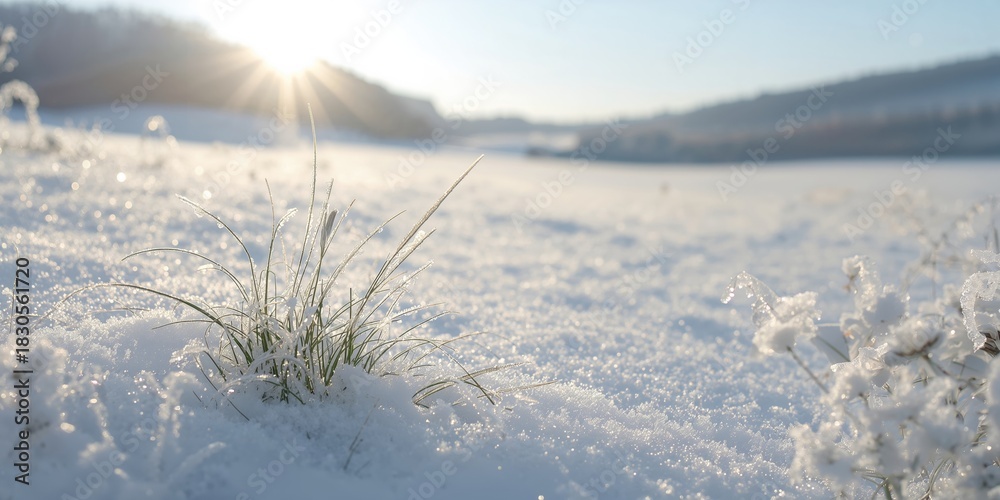 Obraz premium Steel bolts and nuts securing a heavy-duty bridge support frame, emphasizing structural connection and engineering integrity