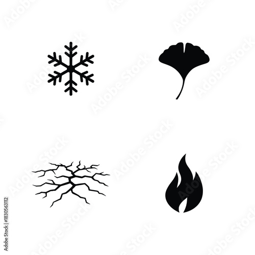 Four Black Silhouette Icons of Elements and Nature on White Background snowflake