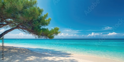 Fototapeta Naklejka Na Ścianę i Meble -  Sandwich with fresh homemade natural apricot jam and fruits, emphasizing healthy snack options and fruit-based nutrition