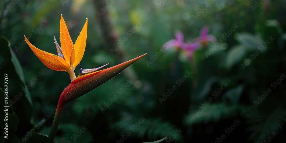 Naklejka premium Heliconia papagaio flowers in a tropical garden, emphasizing botanical beauty and lush flora, Earth Day