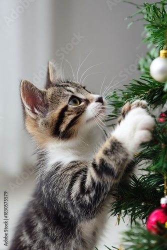 Adorable cats and dogs enjoying winter and Christmas season, playful pets surrounded by snow, lights and festive decorations, ideal for holiday cards, pet-themed marketing, or seasonal campaigns.