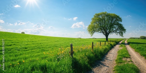 Fototapeta Naklejka Na Ścianę i Meble -  Colorful summer shoes with floral patterns on a vibrant background, emphasizing seasonal fashion choices