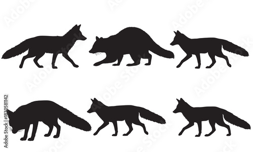 Collection of black fox and raccoon animal silhouettes in various poses silhouette