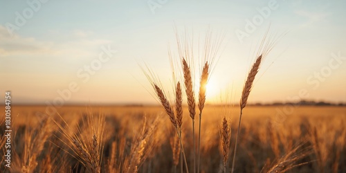 Close-up of a vintage motorcycle on a forest road with a lone rider, emphasizing travel and speed, Earth Day